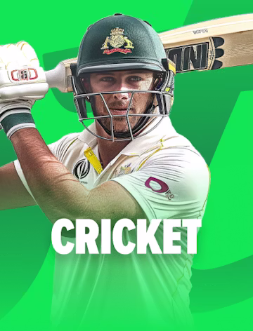 cricket icon